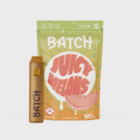 Batch AIO - Juicy Melons - 1g