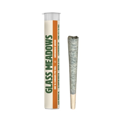 Spritzer 1 Pack 1G