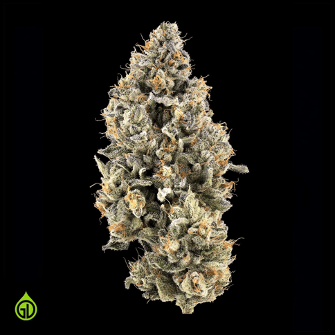 Green Dot | Safety Meeting | SH | Flower Jar | 7G