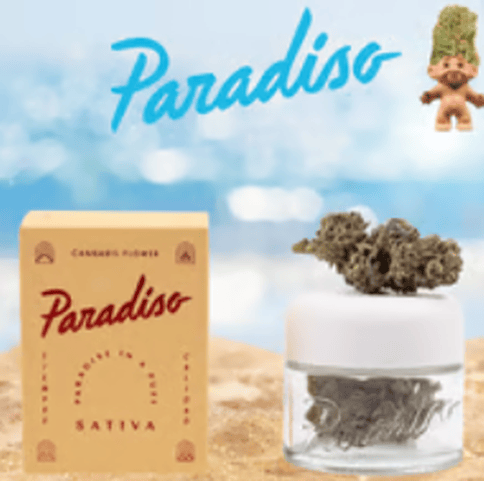 Paradiso Gardens - Mango Haze - 3.5g
