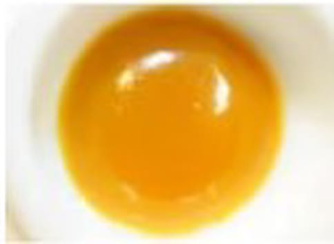 CBD - 1g GMO - BUDDER