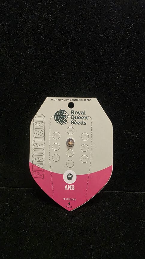 Feminized Seeds - AMG FEM