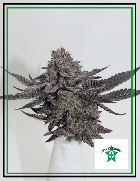 Buds - Ice Cream Cake