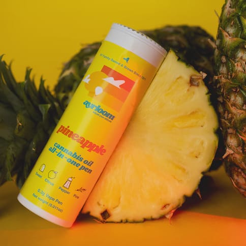 Ayrloom (0.5g Disposable) - Pineapple Express