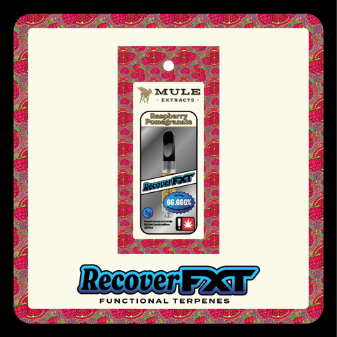 Raspberry Pomegranate FXT 1G Flavored Cartridge (Mule)