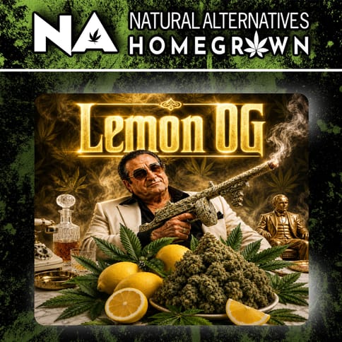 NA Lemon OG