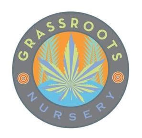 Lemon Apricot 2g Cured Rosin/Distillate Disposable (Grass Roots)