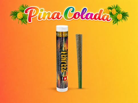Pina Colada 1G Infused Preroll (Terpeez)