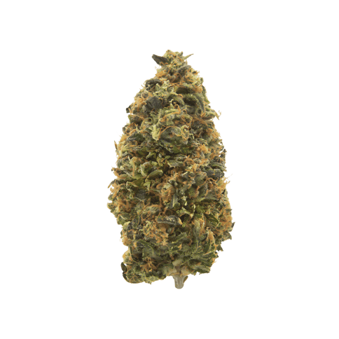 Blueberry Diesel - Flower - Premium