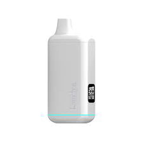 Randy's Inspo+ Concentrate Vaporizer - White