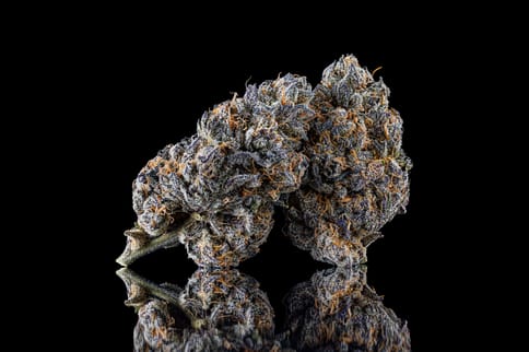 ISLAND BOI #10 (7g)