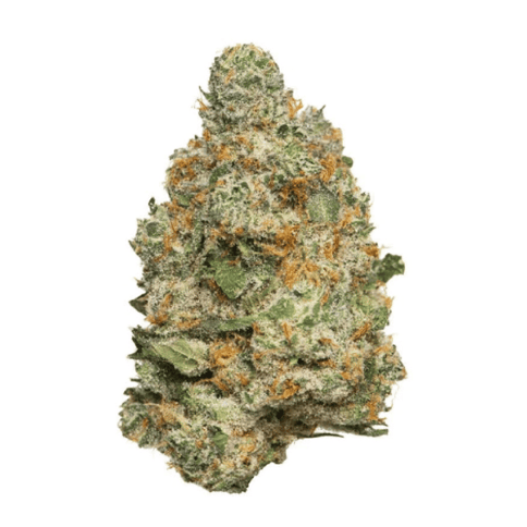 Apple Fritter - Flower - House