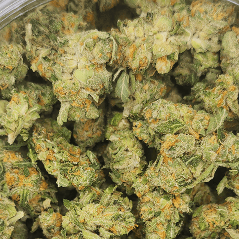 Glorious First Class Funk 28 grams