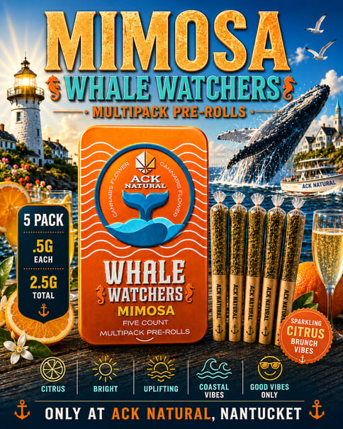 Mimosa S26 - Whale Watchers 2.5G