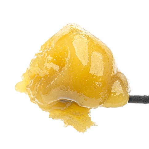 KB - WEST COAST CURE - LIVE RESIN BADDER - GRAPE BISCOTTI - 1G