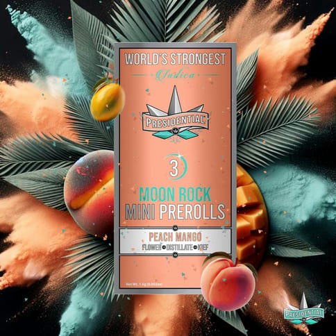 PRESIDENTIAL - INFUSED PREROLL MULTIPACK - PEACH MANGO - 1.5G