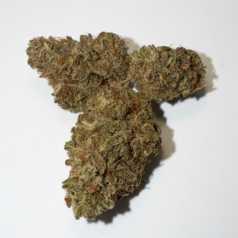 Frodo Squeeze 19.44% - 3.5g