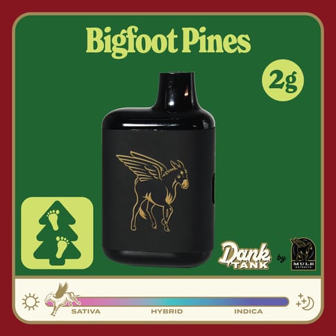 Mule | Bigfoot Pines | 2G | Live Resin | Dank Tank | Disposable