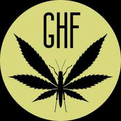 Grape Gas - Grasshopper Farms - Bulk Flower**