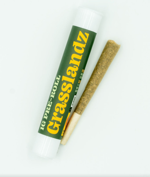 Glue 31 - Pre-Roll -Hybrid  -1g