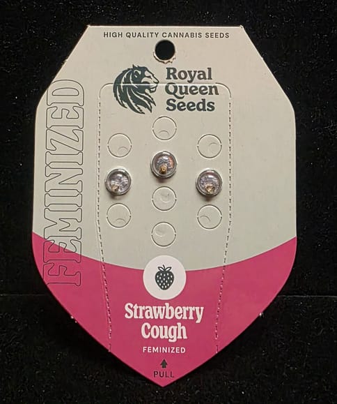 Feminized Seeds - Strawberry Cough 3 Seeds FEM