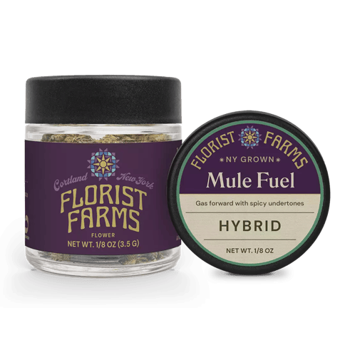 Mule Fuel 3.5g Flower (1/8)