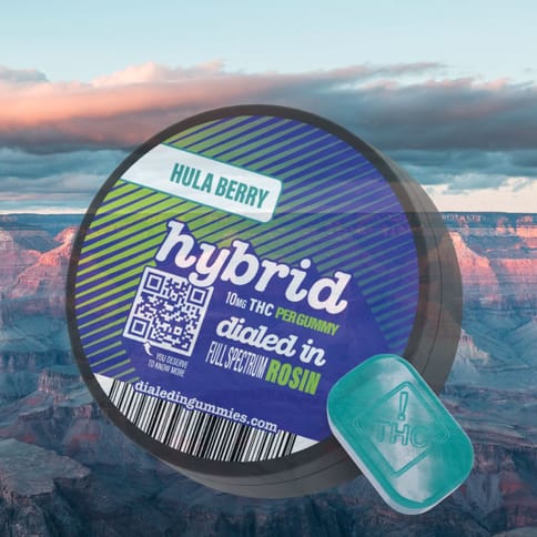 Hula Berry Hybrid Rosin Gummies by Dialed In | Golden Rookie