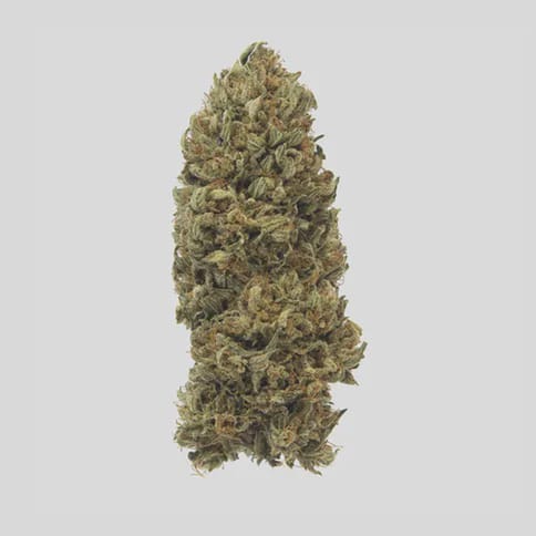 Maggie's Secret Stash | Cosmic Kush | H | Loose Flower