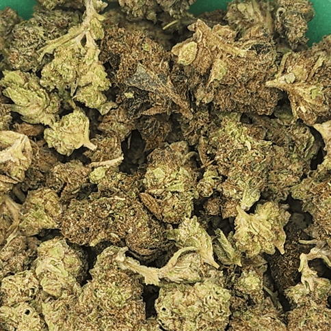 DRAGONFLY | GYM BAG | BULK OUTDOOR FLOWER - Pre-Pack - 28G