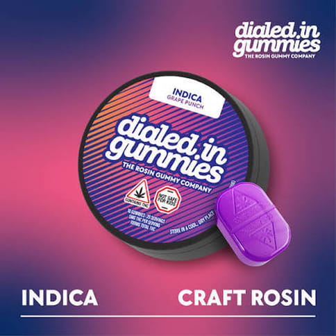 Dialed In Gummies Rosin - Indica