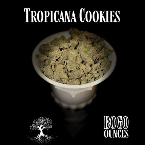 Buds - Tropicana Cookies (Outdoor Grow)