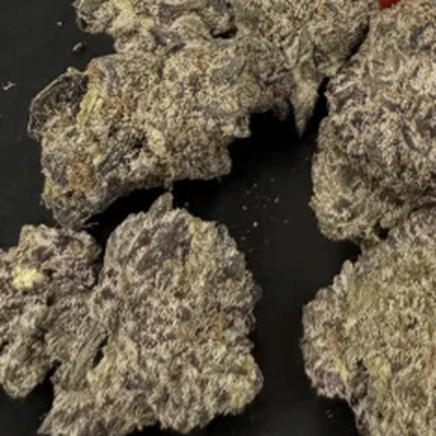 ANTERO - ROTTEN ROZAY - BULK PLATINUM TIER BUD