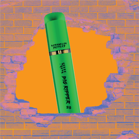 Watermelon Z 2g All In One Disposable | Crude Boys