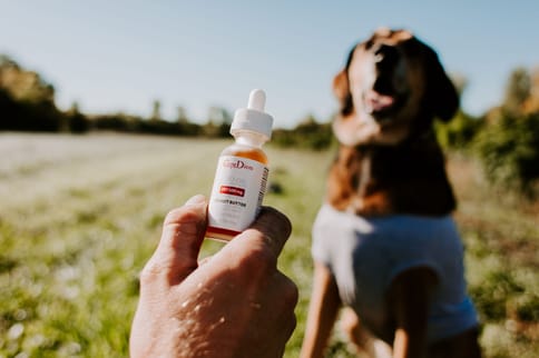 Pet CBD Oil 500 mg Full-Spectrum