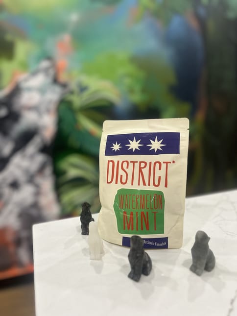 District Cannabis | Watermelon Mint Troche | Edible 10mg (10-Pack)