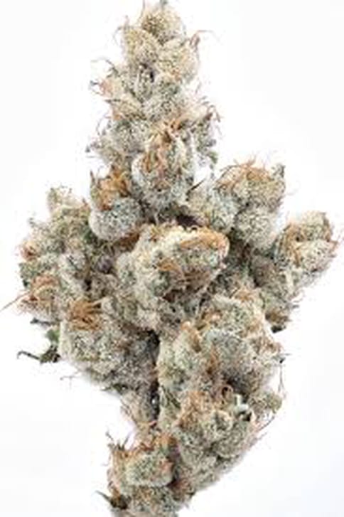 Pearadise - 3.5G