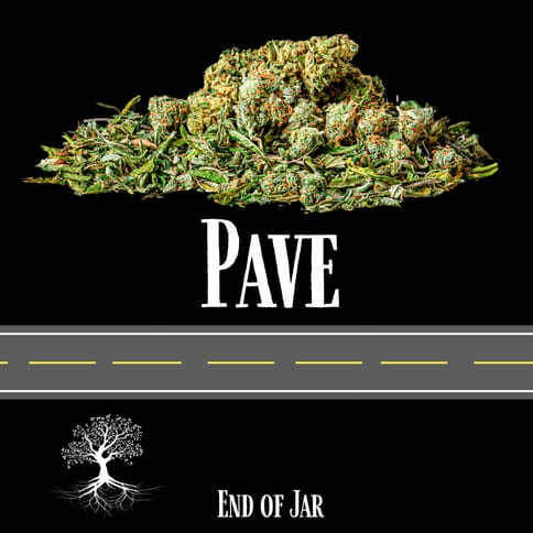 Buds- Pave