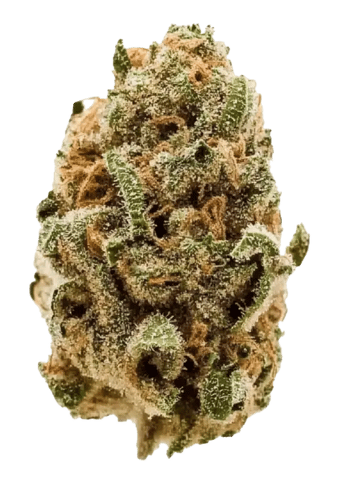 DURBAN POISON