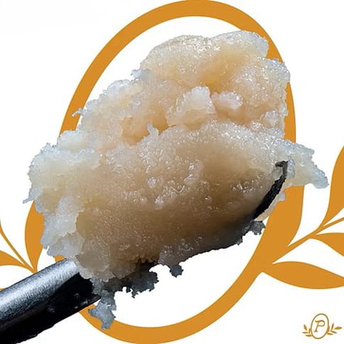 Big Wild Live Rosin | 1g