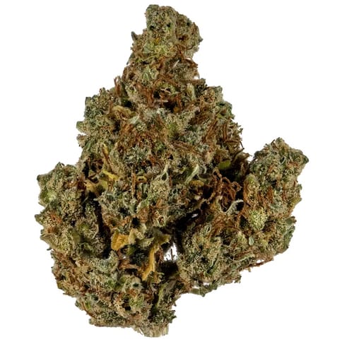 Lemonhead
