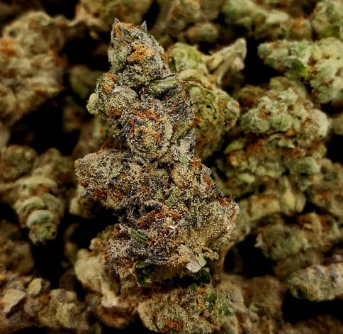 Kush Mints- (Hydro)