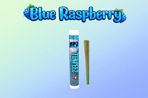 Blue Raspberry 1G Infused Preroll (Terpeez)