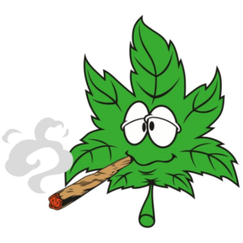 Bumper Sticker