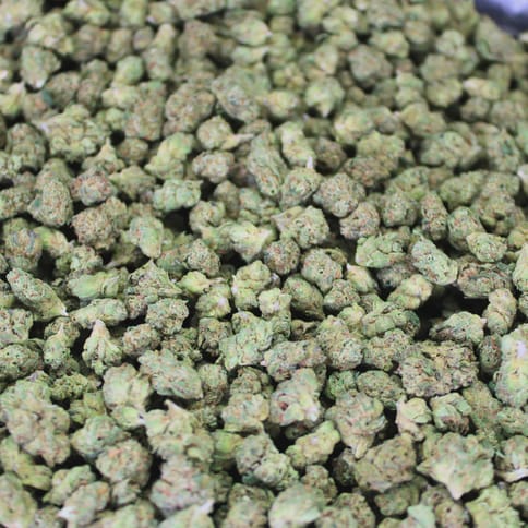 Bulk Flower - Green Crack - 7 G