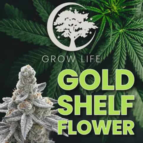 9 Lions - Gold Shelf REC - 3.5g