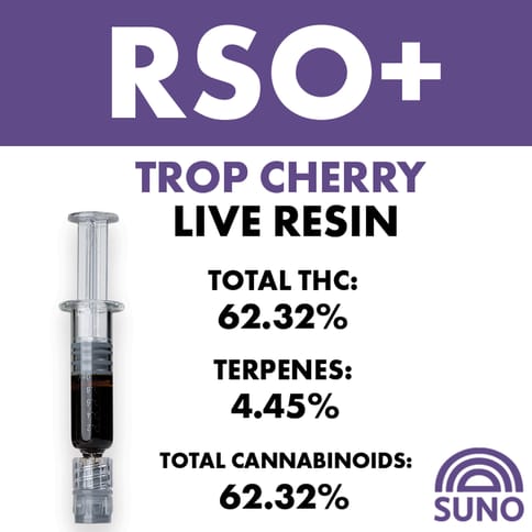 Rise | RSO Darts 1g