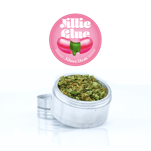 Jilly Glue Grinds | Sativa-Hybrid - | Quarter
