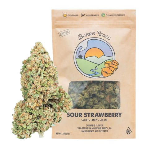 Burr's Place | Sour Strawberry (S) | 28g Sungrown flower