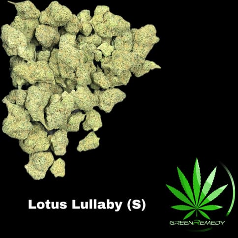 Lotus Lullaby