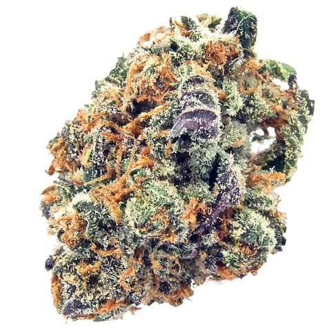 Citrus Rush
